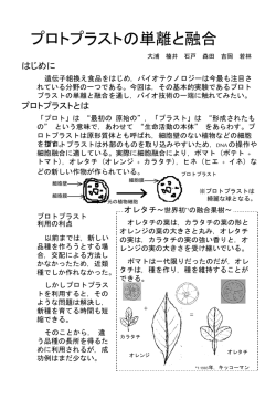 プロトプラストの単離と融合 - すいかサーバー (suika.fam.cx)