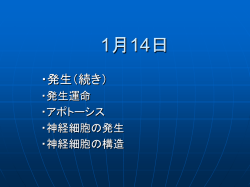 プレゼンテーションのダウンロード