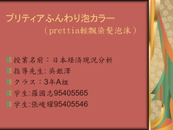 プリティアふんわり泡カラー （prettia輕飄染髮劑）