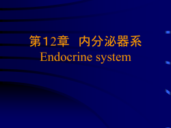 色素嫌性C
