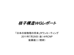 核子構造WGレポート