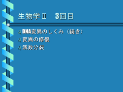 DNAの変異の種類