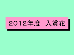 2012年度 入賞花