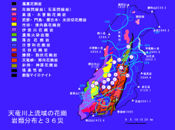花 崗 閃 緑 岩