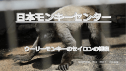 校外学習発表用サンプル