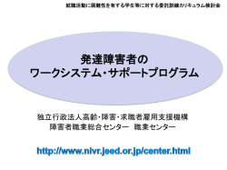 発達障害者のワークシステム・サポートプログラム（PPT：11261KB）
