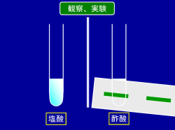 実践1_塩酸酢酸のpH_観察、実験の説明