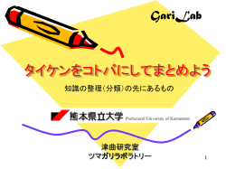 説明に使用したパワポ