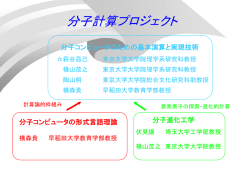 分子計算プロジェクト