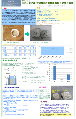 プロジェクトNo.22 発泡石膏ブロックの作成と重金属類除去効果の評価