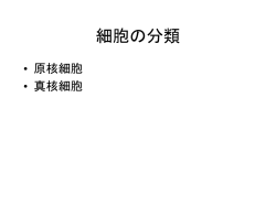 プレゼンテーションのダウンロード