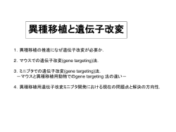 マウスでの gene targetingの方法