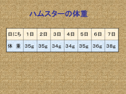 気温調べ（6月25日）