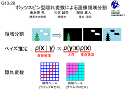 ポッツスピン型隠れ変数による 画像領域分割