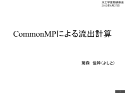 H19年度 水・物質循環解析ソフトウェア共通基盤 仕様等検討業務