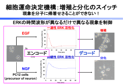 講義スライド - Kuroda Lab University of Tokyo