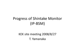 Progress of Shintake Monitor