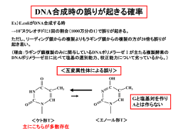 DNA複製の誤りのわけ