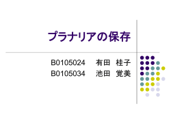 プラナリアの保存