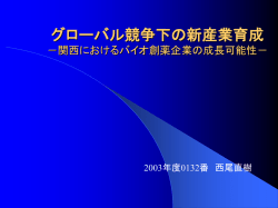 プレゼンテーション資料