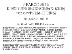 J-PARC E15実験における バーテックス検出器(TGEM