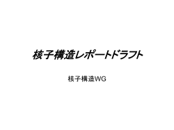 核子構造ドラフト