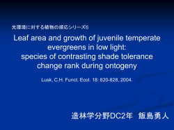 iijima_presentation