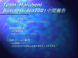 Team Marubeni Businessidea2000中間報告