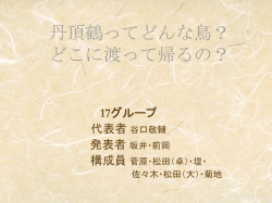 丹頂鶴ってどんな鳥？ どこに渡って帰るの？