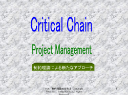 Critical Chain Project Management Presentation - So-net
