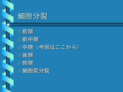 プレゼンテーションのダウンロード