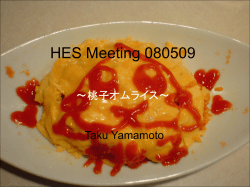 HES Meeting 071012