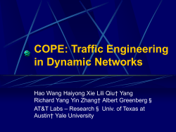 Traffic Engineering in Dynamic Networks