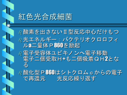 プレゼンテーションのダウンロード