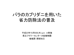 H23バイコン熱海b