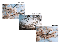 JPG形式(24b)の画像を使用