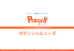 アンケート設問項目 - ネット広告出稿のご案内 Potora（ポトラ）