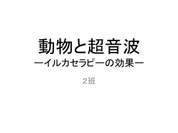 中間発表パワーポイント資料