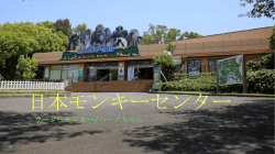 校外学習発表用サンプル