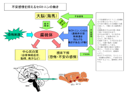 詳細はここ