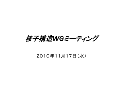 核子構造WGミーティング