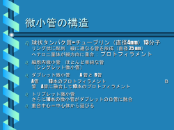 プレゼンテーションのダウンロード