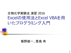 プレゼンテーション資料（Excel/VBA）