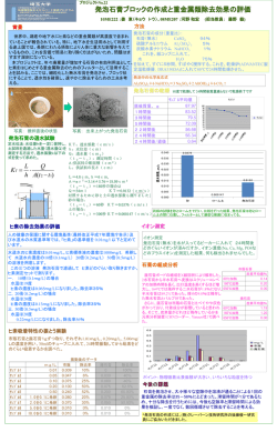 プロジェクトNo.22 発泡石膏ブロックの作成と重金属類除去効果の評価