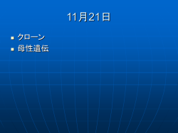 プレゼンテーションのダウンロード