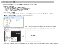 gomSkinManual