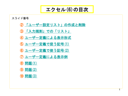 (6) ユーザー定義