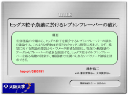 レプトンフレーバーを破る有効相互作用