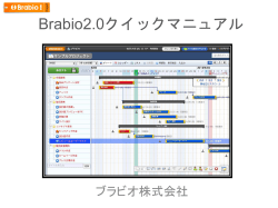 Brabio2.0