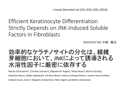 効率的なケラチノサイトの分化は、線維芽細胞において